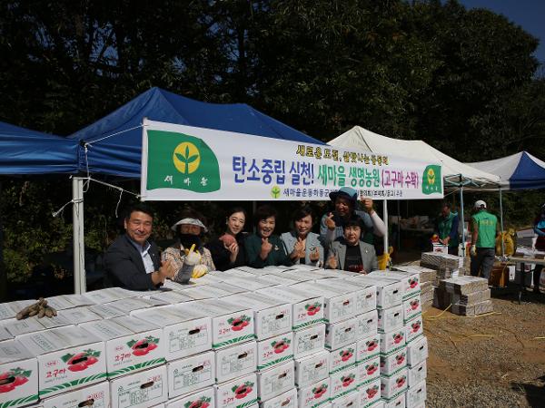 2022.09.30. 새마을 고구마 수확행사